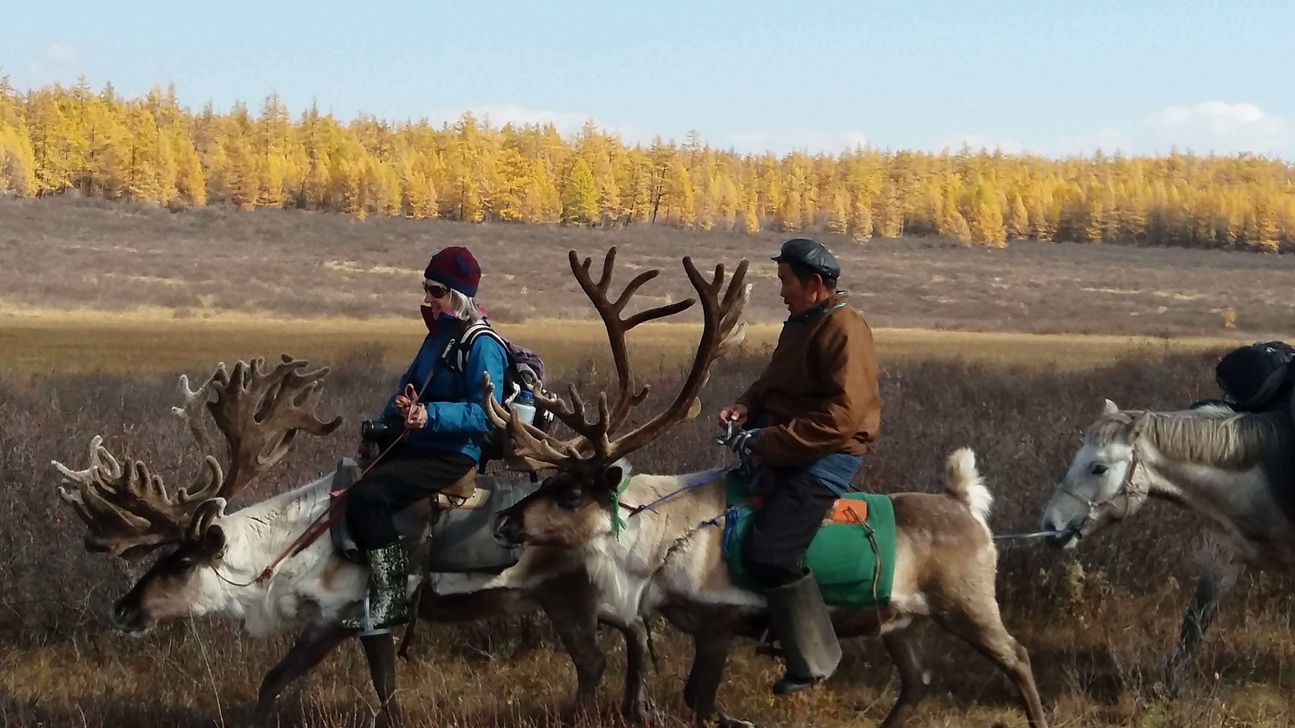 Tsaatan Reindeer Herders